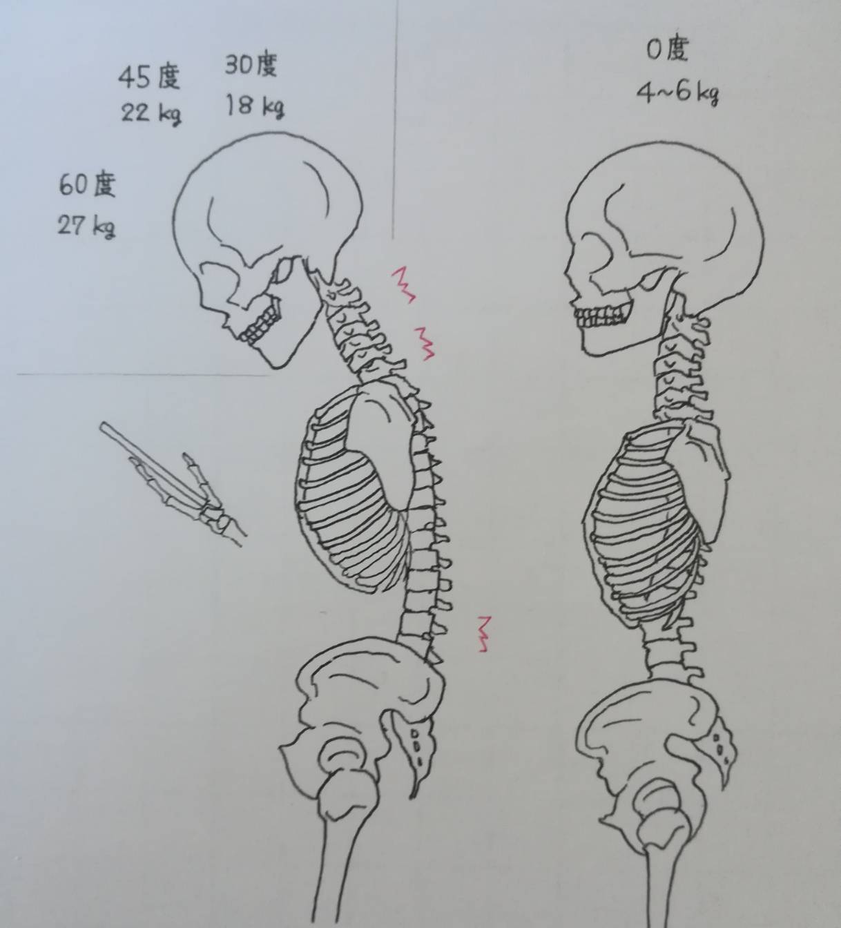 スマホ利用時の首の負担は？